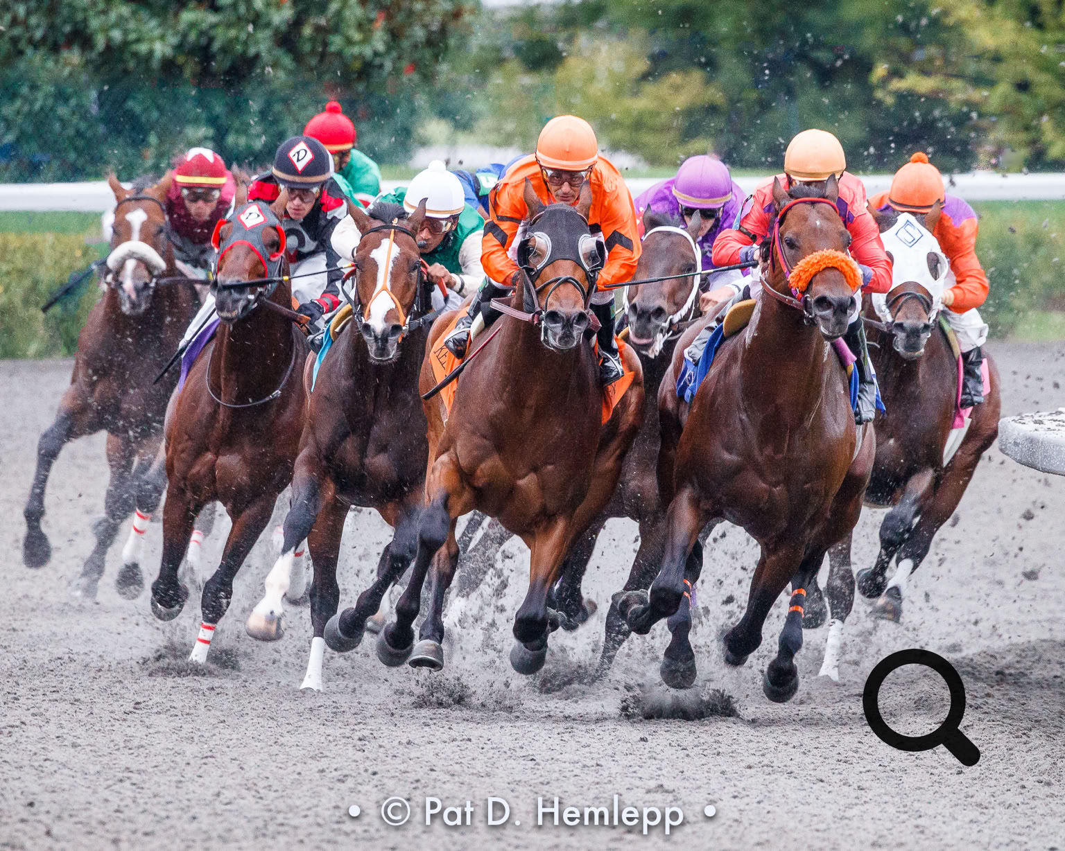 Horses battle off the turn during a race on opening day of the 2009 fall meet at Keeneland, the historic race track in Lexington, Ky.