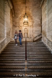 Pat Hemlepp's photo of the week