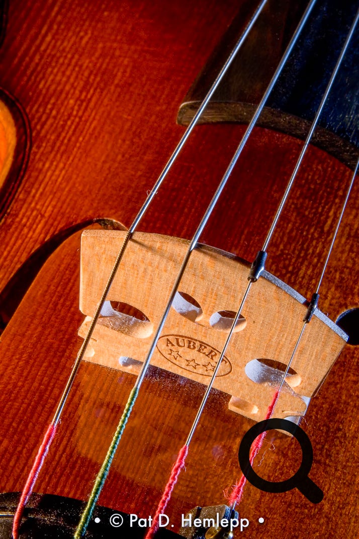 A close-up photograph of a violin's bridge and strings, Hilliard, Ohio.