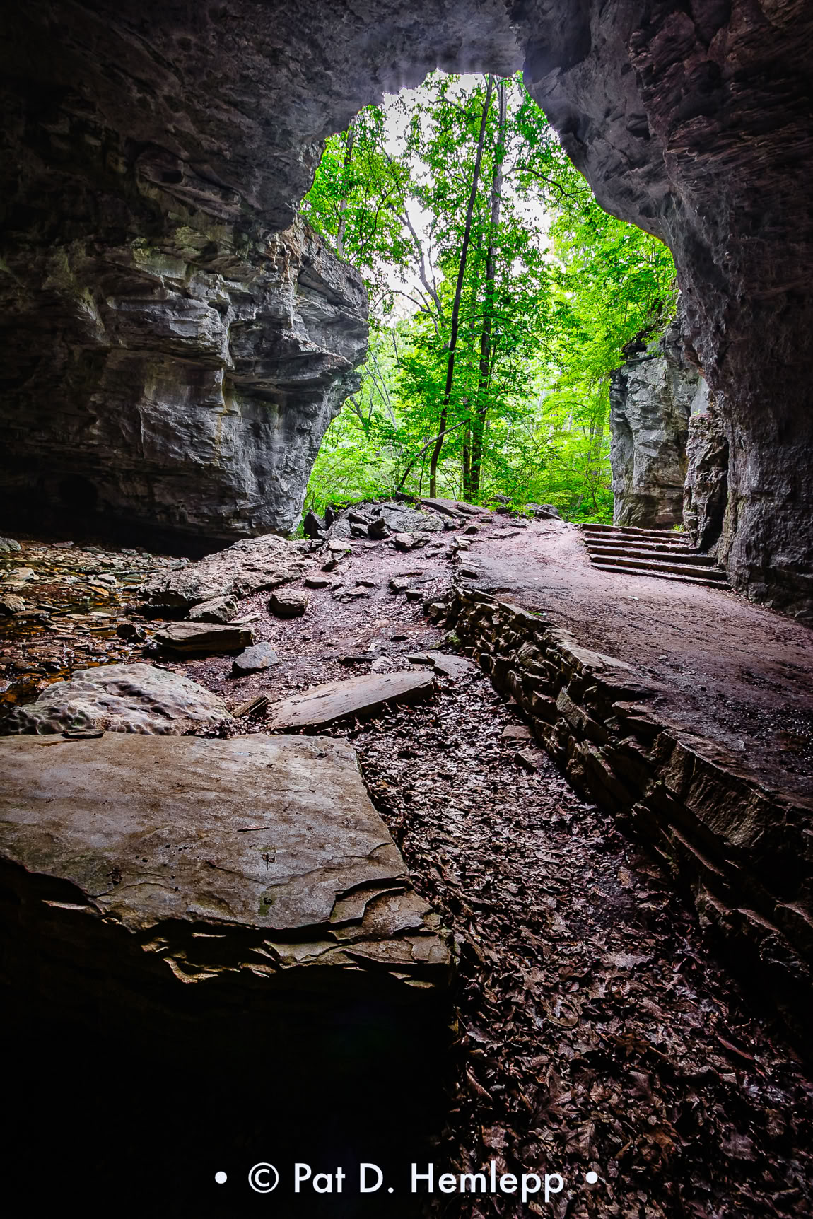 The forest is seen through Carter Caves Natural Bridge in Carter Caves State Park near Olive Hill, Ky.