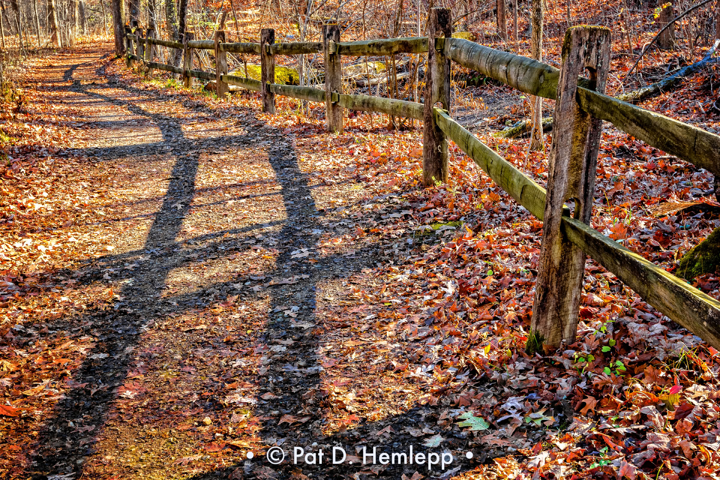 Shadows of a split rail fence darken a trail in Blendon Woods Metro Park, Westerville, Ohio.