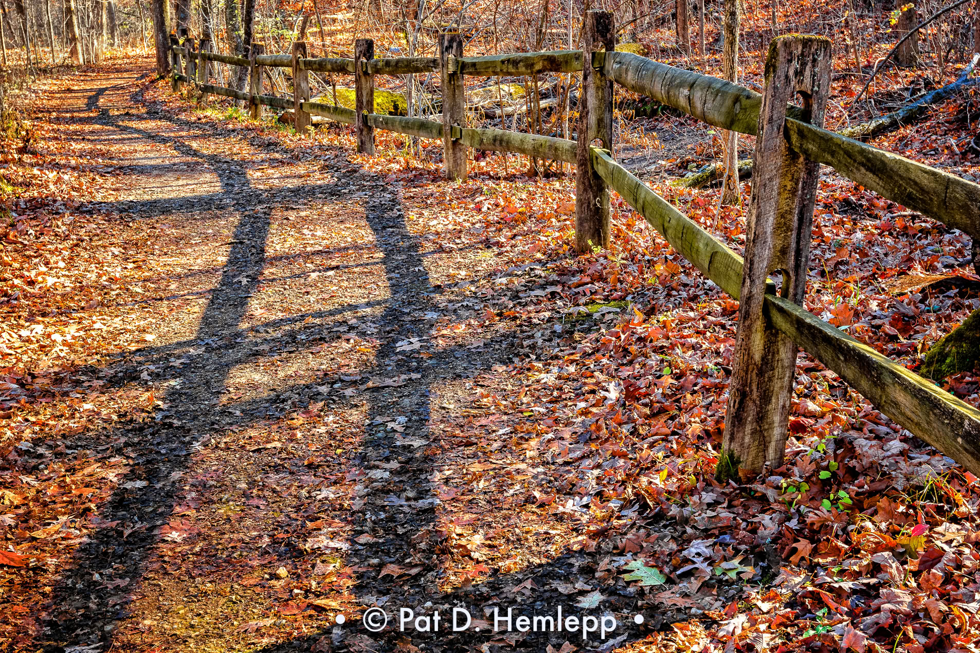 Shadows of a split rail fence darken a trail in Blendon Woods Metro Park, Westerville, Ohio.