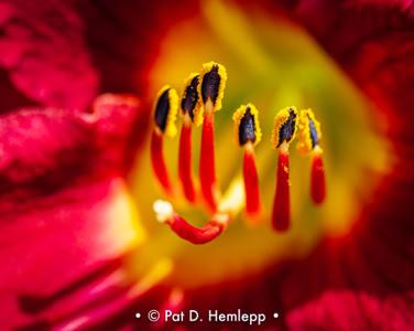 Featured gallery